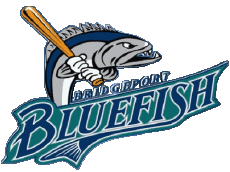 Deportes Béisbol U.S.A - ALPB - Atlantic League Bridgeport Bluefish 
