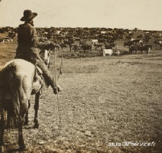 Humor - Fun Efectos 3d Stéreoscopique Wiggle 