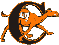 Sport N C A A - D1 (National Collegiate Athletic Association) C Campbell Fighting Camels 