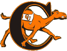 Sportivo N C A A - D1 (National Collegiate Athletic Association) C Campbell Fighting Camels 