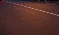 Humour - Fun Sports Trike Drifting Fun - Win 