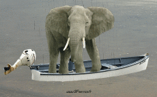 Humor -  Fun Tiere Elefanten 01 