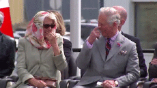 Humour - Fun PERSONNAGES Politique - International Prince Charles 