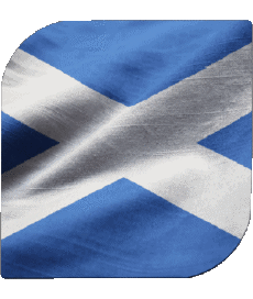 Flags Europe Scotland Square 
