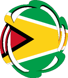 Drapeaux Amériques Guyana Forme 01 