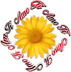 Messages Italien Ti Amo 02 