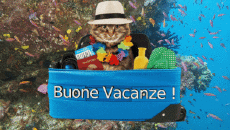 Messages Italien Buone Vacanze Fond Animé 005 