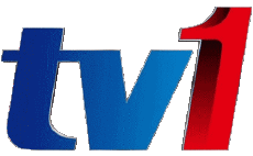 Multi Media Channels - TV World Malaysia TV1 