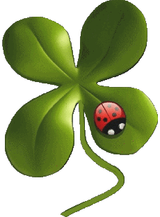 Messages Spanish Buena Suerte Transparent Background 01 