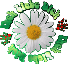 Messages Allemand Ich Liebe Dich 04 