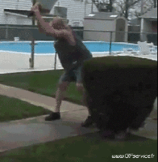 Umorismo -  Fun PERSONE Bevande Serie 01 