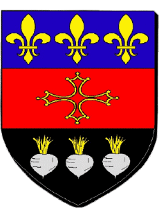 Banderas Francia Departamentos - Ciudades 81 RABASTENS 