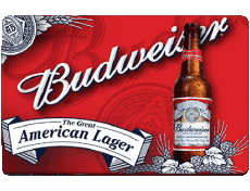 Getränke Bier USA Budweiser 