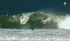 Humor -  Fun Sport Surf Fun - Win 