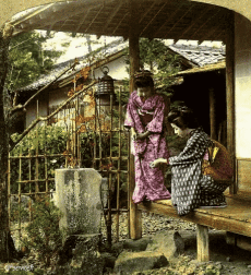 Humour - Fun 3D Effets Stéreoscopique Wiggle 