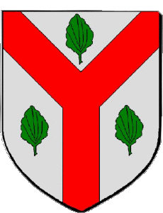 Banderas Francia Departamentos - Ciudades 37 SAINT AVERTIN 