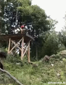 Humor -  Fun Sport Mountainbiking Stürze - Fail 