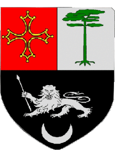 Bandiere Francia Dipartimenti - Città 31 RAMONVILLE SAINT AGNE 