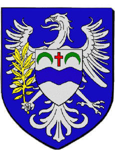 Banderas Francia Departamentos - Ciudades 93 NEUILLY PLAISANCE 