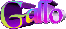 Nome MASCHIO -  Italia G Gallo 
