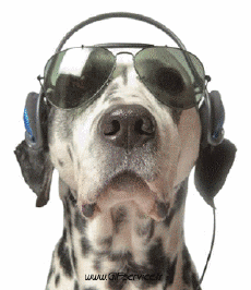 Umorismo -  Fun Animali Cani 01 