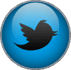 Multi Média Informatique - Internet Twitter 