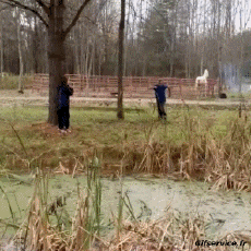 Umorismo -  Fun Sportivo Tuffo Cadute - Fail 