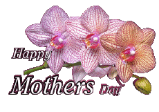 Messages English Happy Mothers Day 04 