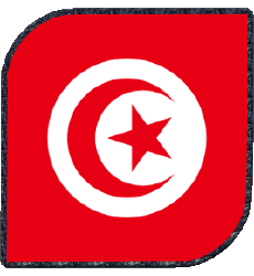 Bandiere Africa Tunisia Quadrato 