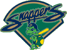 Sports Baseball U.S.A - Midwest League Beloit Snappers 