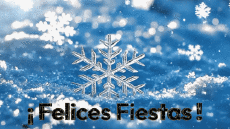 Messagi Spagnolo Felices Fiestas Video 