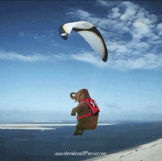 Humor - Fun Animales Elefantes 01 