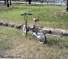 Humor -  Fun 3d Effects Stéreoscopique Wiggle 