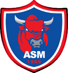 Sports Rugby - Clubs - Logo France Macon - ASM 