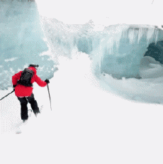 Humor -  Fun Sport Ski Free Ride Fun Win 