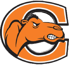 Sportivo N C A A - D1 (National Collegiate Athletic Association) C Campbell Fighting Camels 