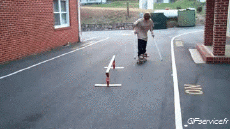 Humor -  Fun Sports Skateboard Free Style Fun - Win 02 