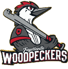 Sports Baseball U.S.A - Carolina League Fayetteville Woodpeckers 