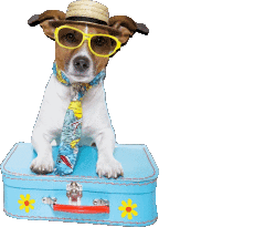 Nachrichten Italienisch Buone Vacanze Transparenter Hintergrund 29 