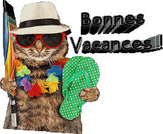 Mensajes Francés Bonnes Vacances Fondo transparente 30 