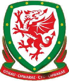 Sport Fußball - Nationalmannschaften - Ligen - Föderation Europa Wales 
