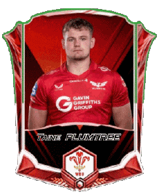 Sports Rugby - Players Wales Team 2025 Taine PLUMTREE 