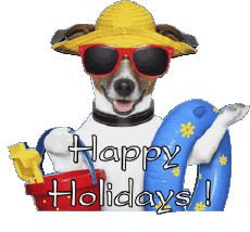 Mensajes Inglés Happy Holidays Fondo transparente 03 