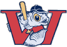 Sportivo Baseball U.S.A - A A B Winnipeg Goldeyes 