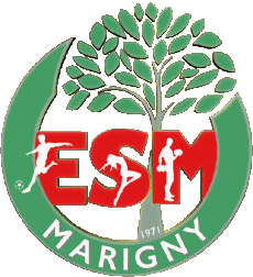 Deportes Fútbol Clubes Francia Centre-Val de Loire 45 - Loiret ESM Entente Sportive Marigny 