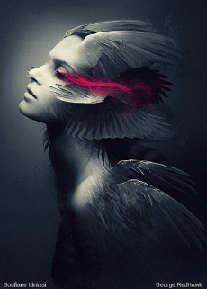 Humour - Fun GIF Artistes George RedHawk - Noir et blanc 