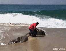 Humor -  Fun Places Por el mar 