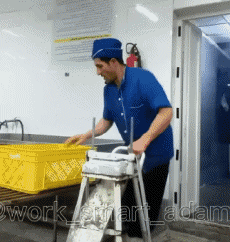 Umorismo -  Fun PERSONE Al lavoro Fun - Win 