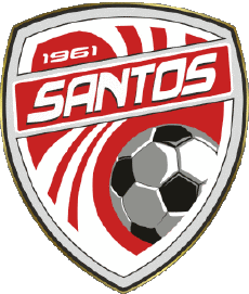 Deportes Fútbol  Clubes America Costa Rica Santos de Guápiles 