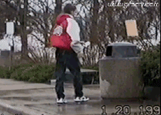 Humour - Fun Animaux Chats Serie 04 